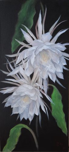 Griffin alkyd oil, Cacti, Queen of the Night.